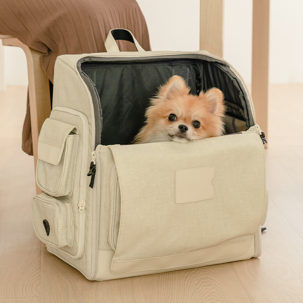 구루구루 위고백 강아지 고양이 이동가방 애견 반려견 소형견 펫 캣 백팩 기내 이동장 방수