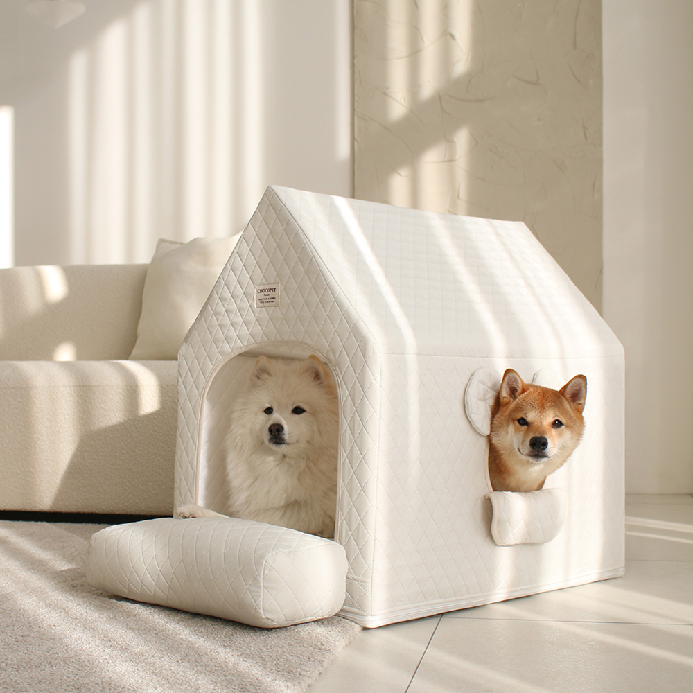 초코펫하우스 사계절 강아지집 에브리데이하우스 3.0 아이보리, 소형