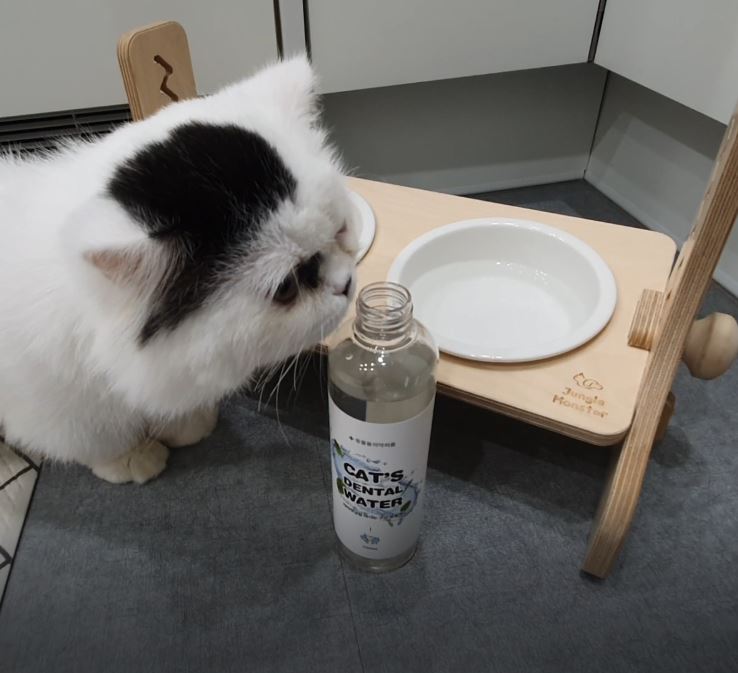 정글몬스터 마시는 고양이 치약 캣 덴탈워터 250ml, 2개