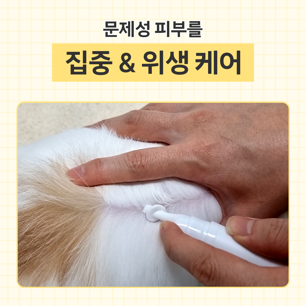 바이랩 스킨케어 강아지 피부 연고 보습제 피부병 까짐 습진 각질 로션 15ml, 1개