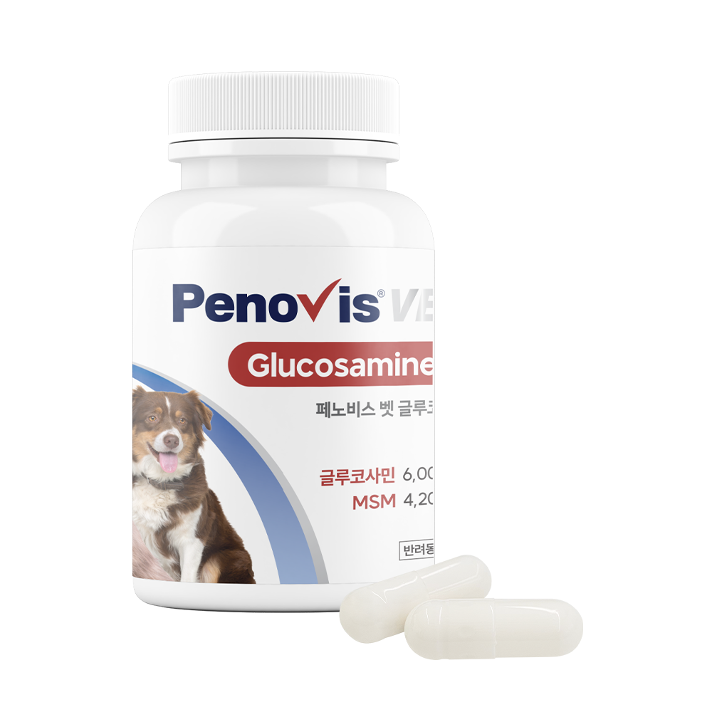 페노비스 강아지 관절영양제 슬개골 연골 관절염 고양이 칼슘 노견영양제 캡슐 벳 글루코사민