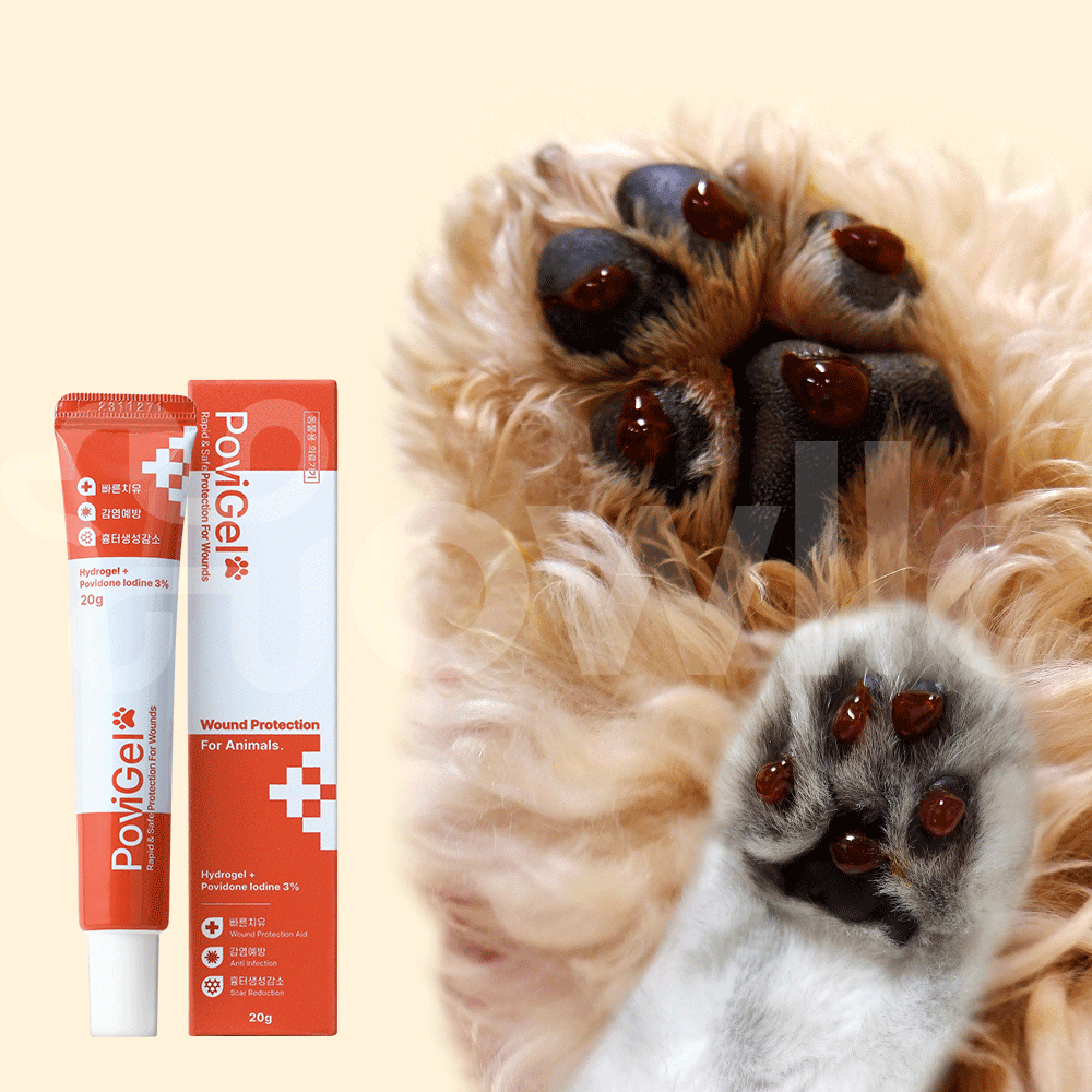 포비겔 강아지 고양이 곰팡이성 피부염 피부병 약 아토피 상처 연고 농피증 링웜 발습진 약