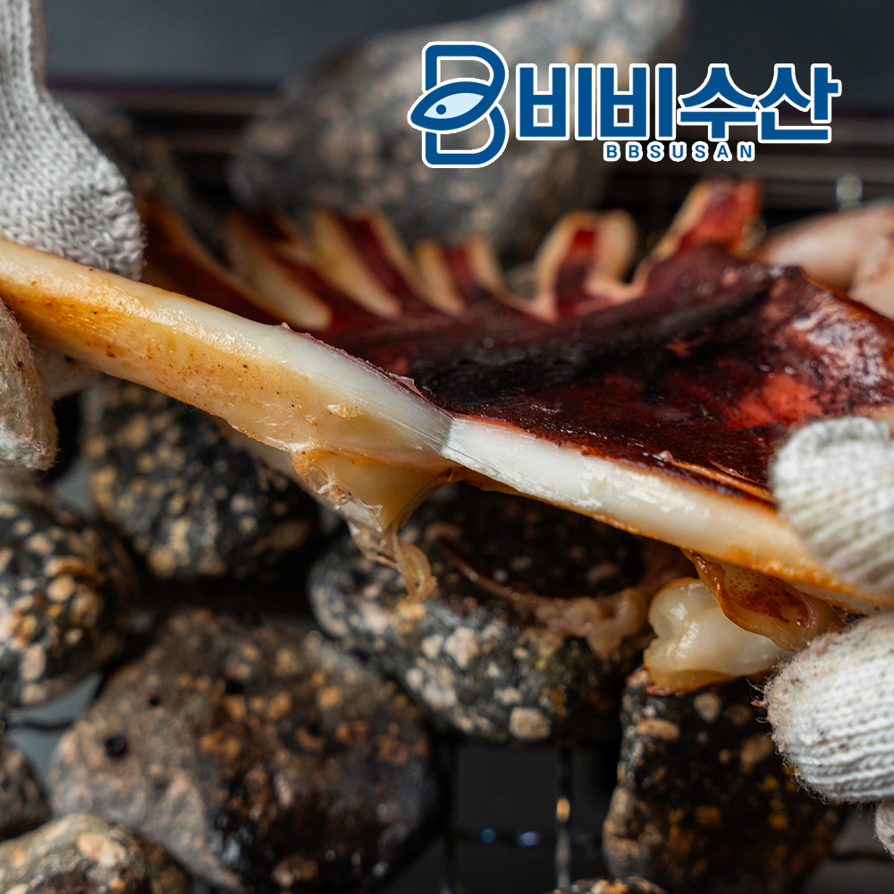 동해안 구룡포 반건조오징어 피데기 마른오징어 쫄쫄이 당일바리