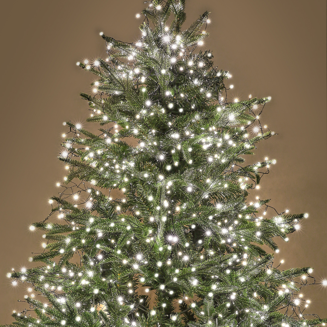 코지바이브 웜 지네전구 400구 크리스마스 트리 전구 어댑터 세트