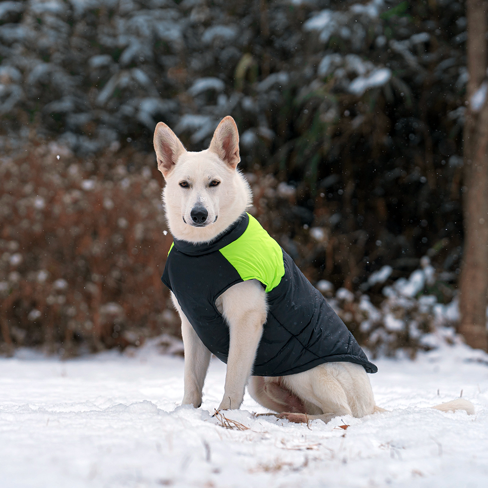 대형견패딩 강아지 패딩 조끼 경량 겨울옷 진돗개 5XL