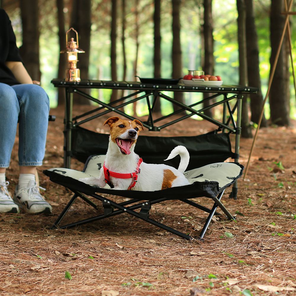 우리 강아지와 함께하는 편안한 캠핑, 해먹형 강아지 침대 추천!