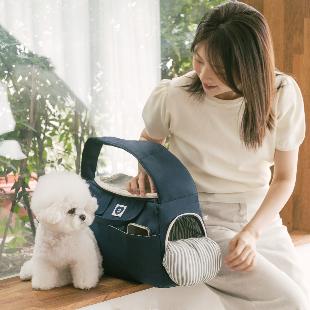 편하게 데리고 다닐 수 있는 강아지 이동 가방 추천