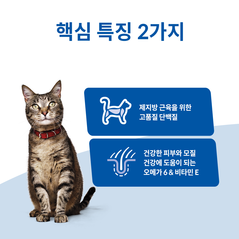 고양이에게 딱 맞는 연어와 현미 사료, 이렇게 선택하세요!