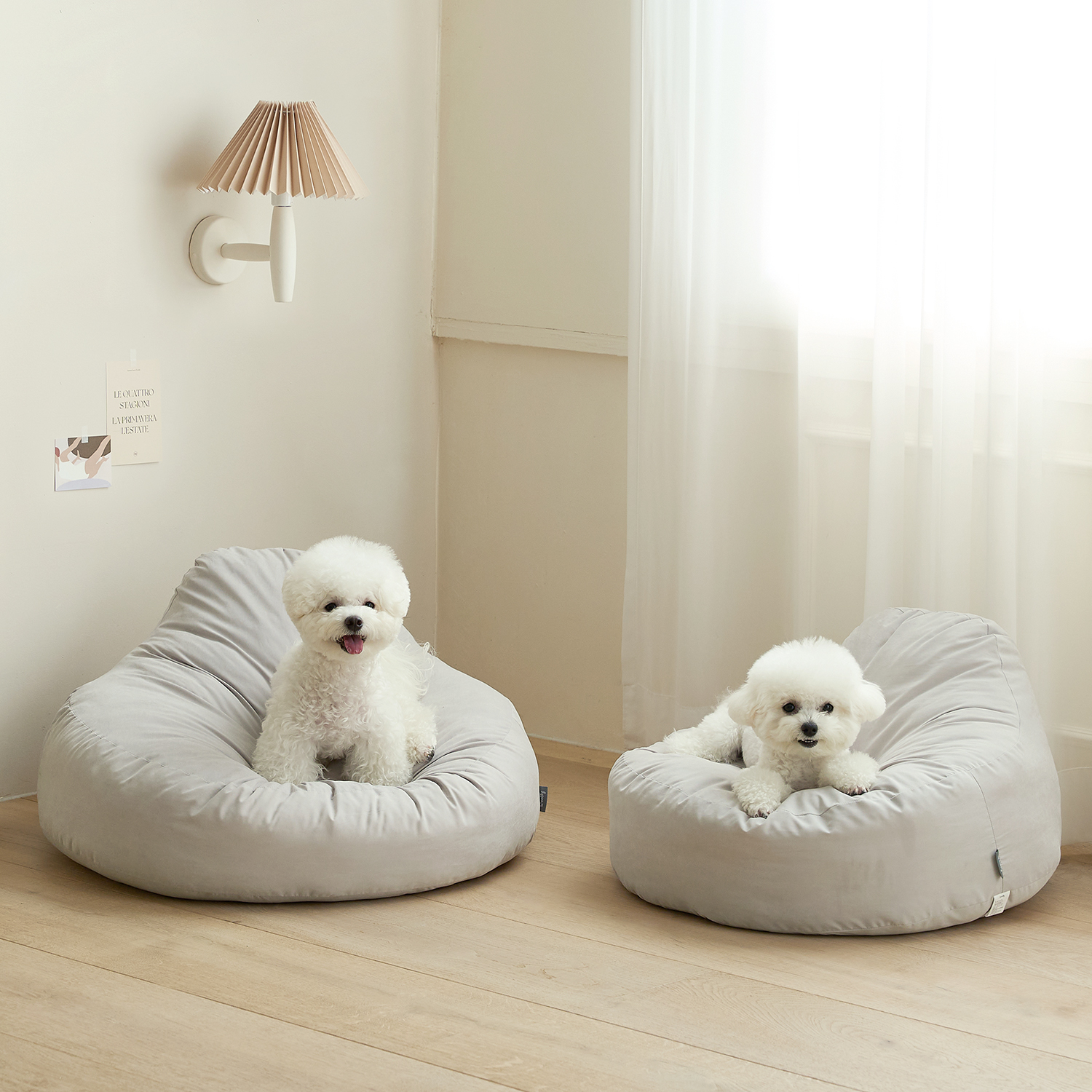 집에서 편하게 쓰는 강아지와 고양이용 빈백 소파 추천!