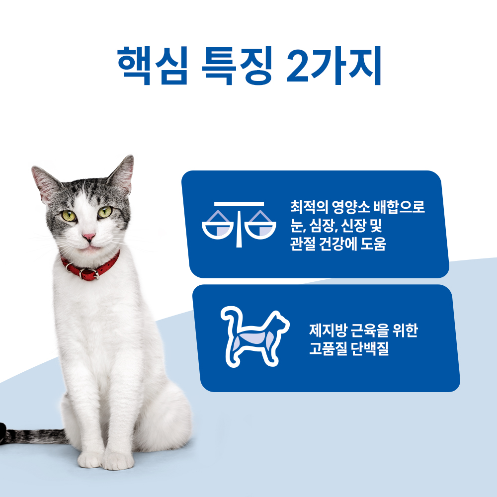 고양이 사랑하는 분들을 위한 힐스 노령묘 사료 추천! 편하게 알아보세요