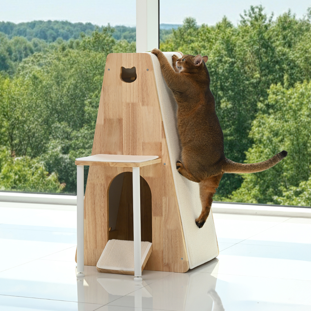 우리 집 고양이도 좋아하는 수직 원목 캣타워, 숨숨집이 달린 스크래처 추천해요!