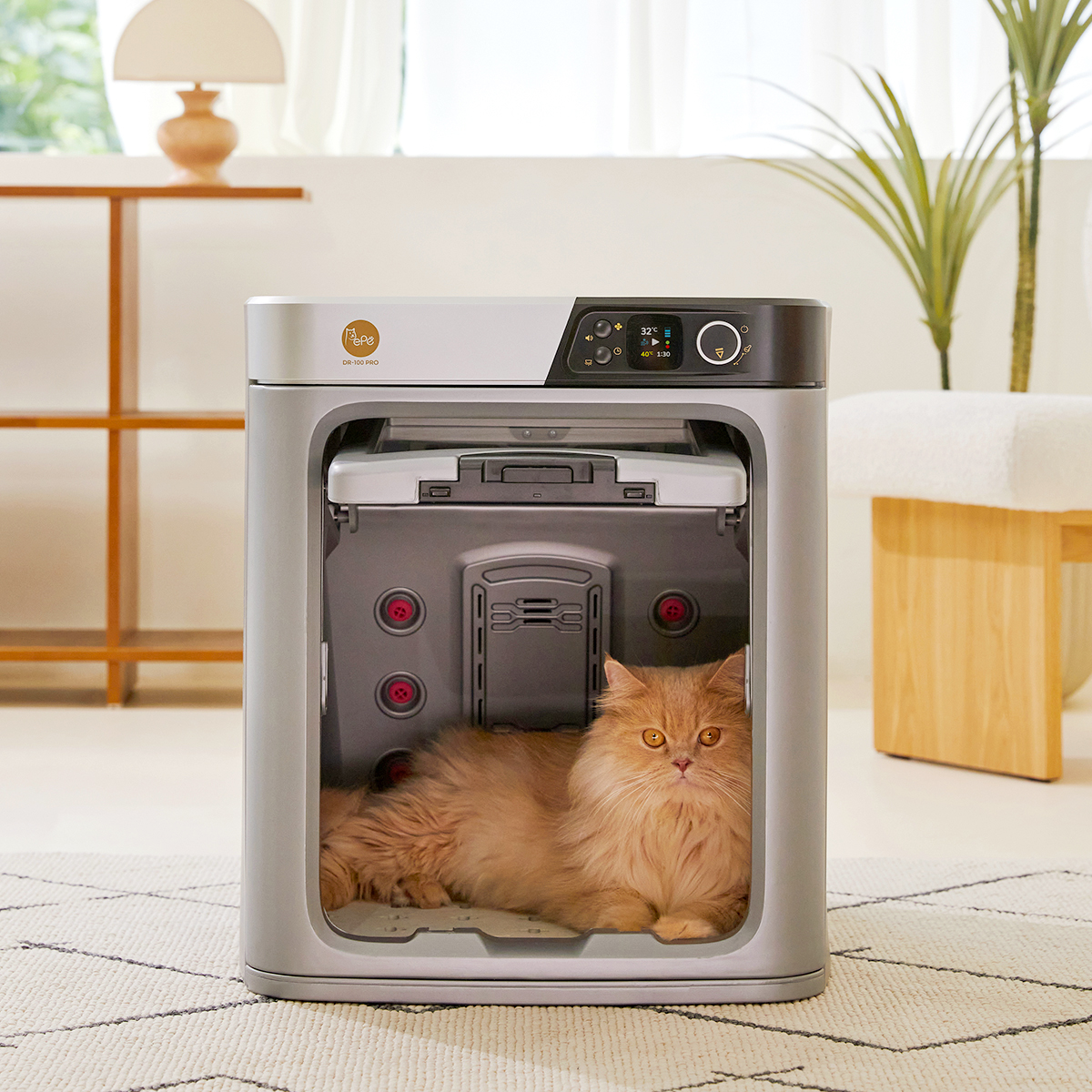 반려동물도 빠르고 따뜻하게 말려주는 친근한 펫 드라이룸 추천