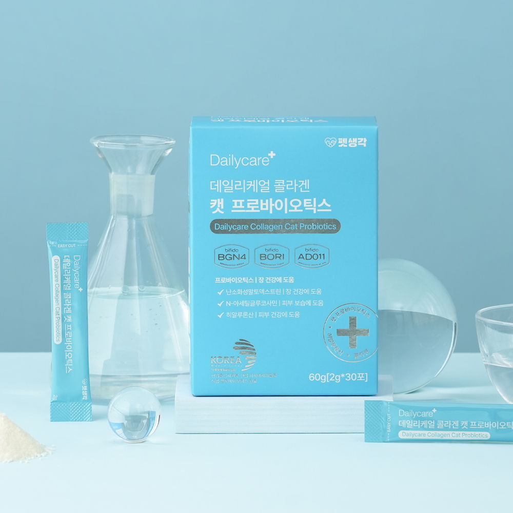 고양이 건강을 위한 자연스러운 선택, 유산균과 콜라겐으로 피부와 장 건강 챙기기