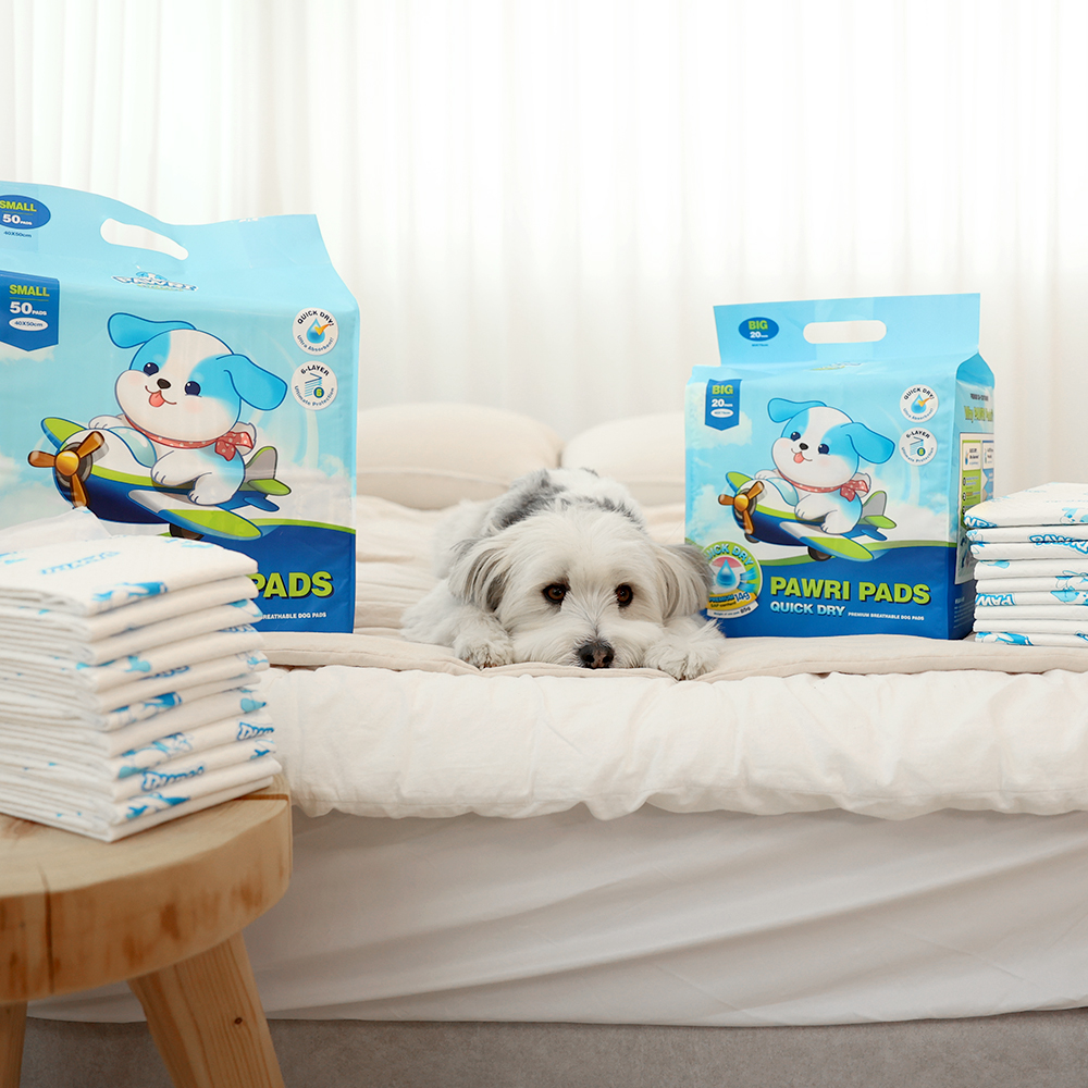 편리하고 흡수력 좋은 배변패드, 이렇게 선택하세요!