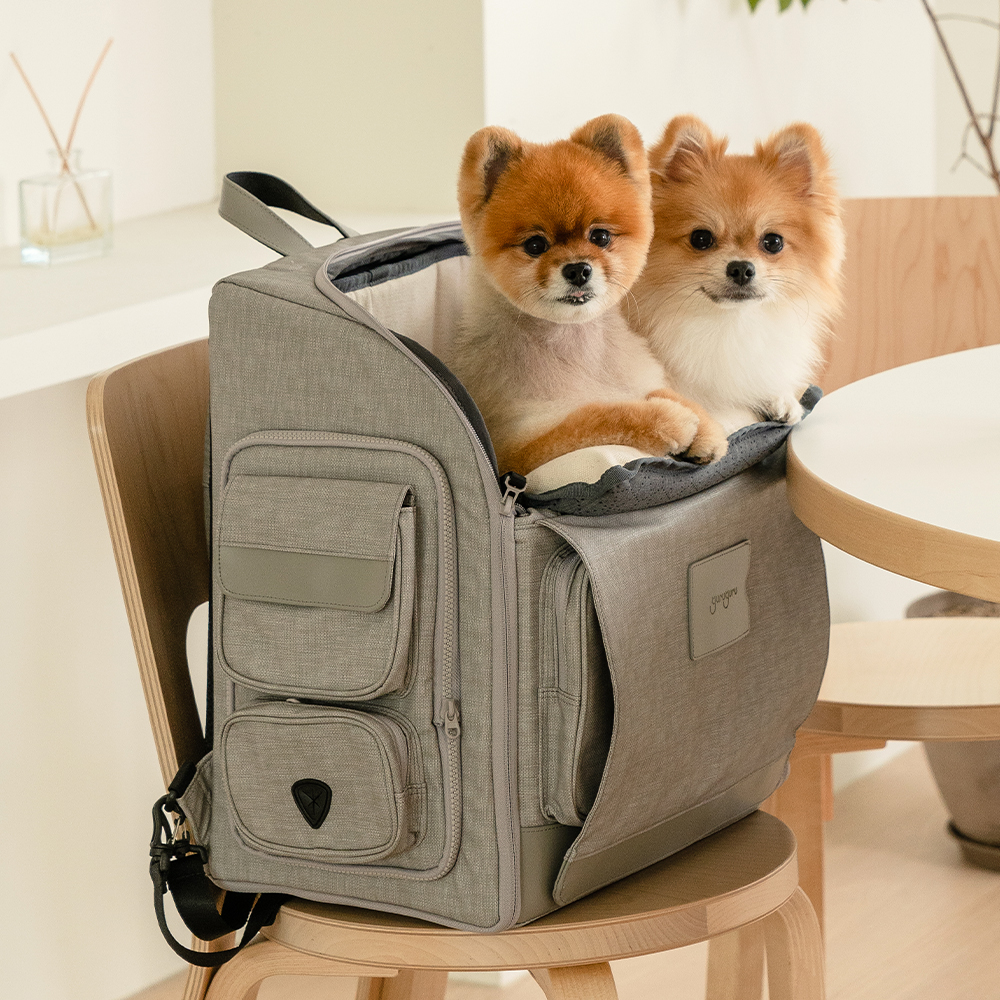 편하게 이동하는 강아지와 고양이 가방, 어떤 게 좋을까?