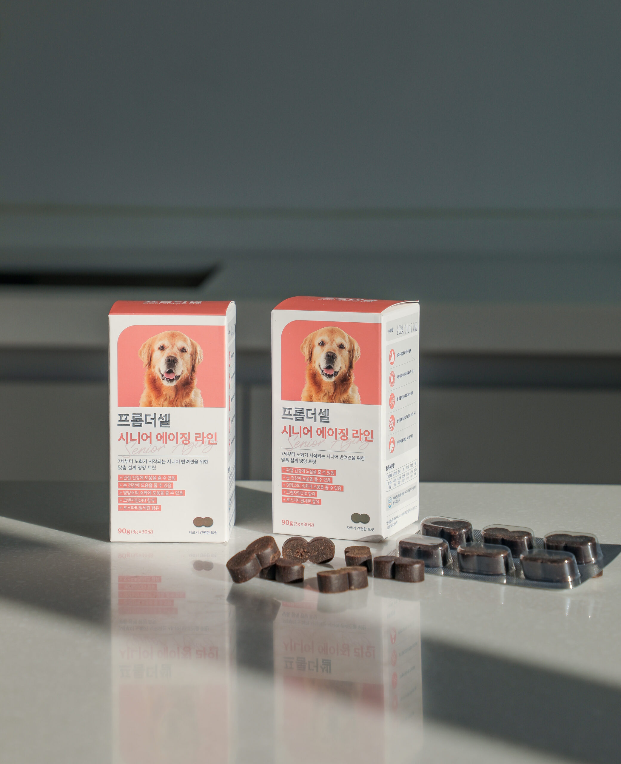 우리 강아지 노견을 위한 건강한 하루, 이렇게 챙기세요!