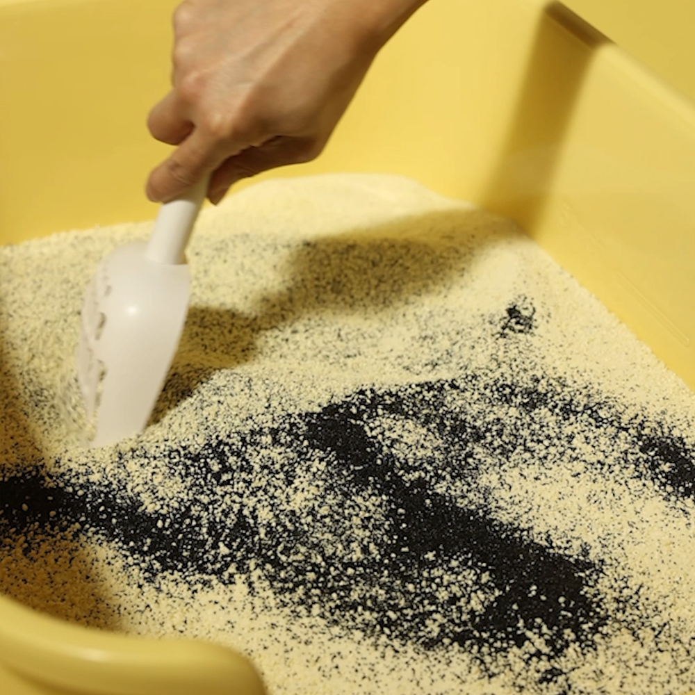 집에서도 쉽게 사용할 수 있는 천연 고양이모래 탈취제 추천!