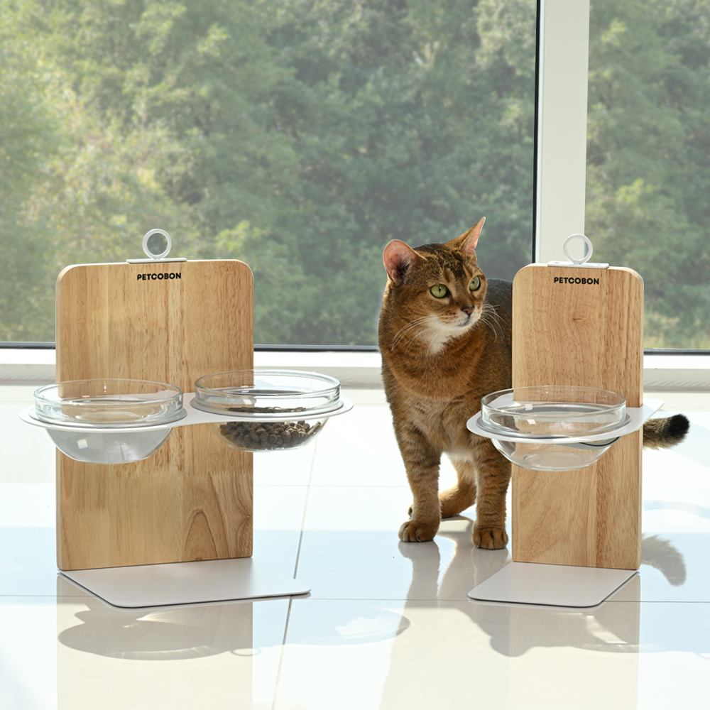 집에서 편하게 쓰는 강아지와 고양이 식기세트, 높이 조절도 가능해요!