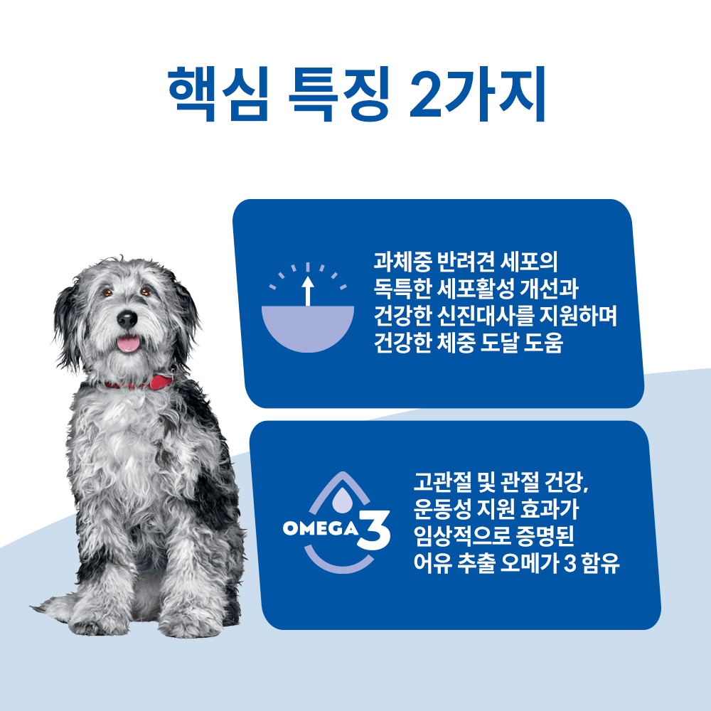 강아지 건강을 위한 최고의 사료, 믿고 선택하세요!