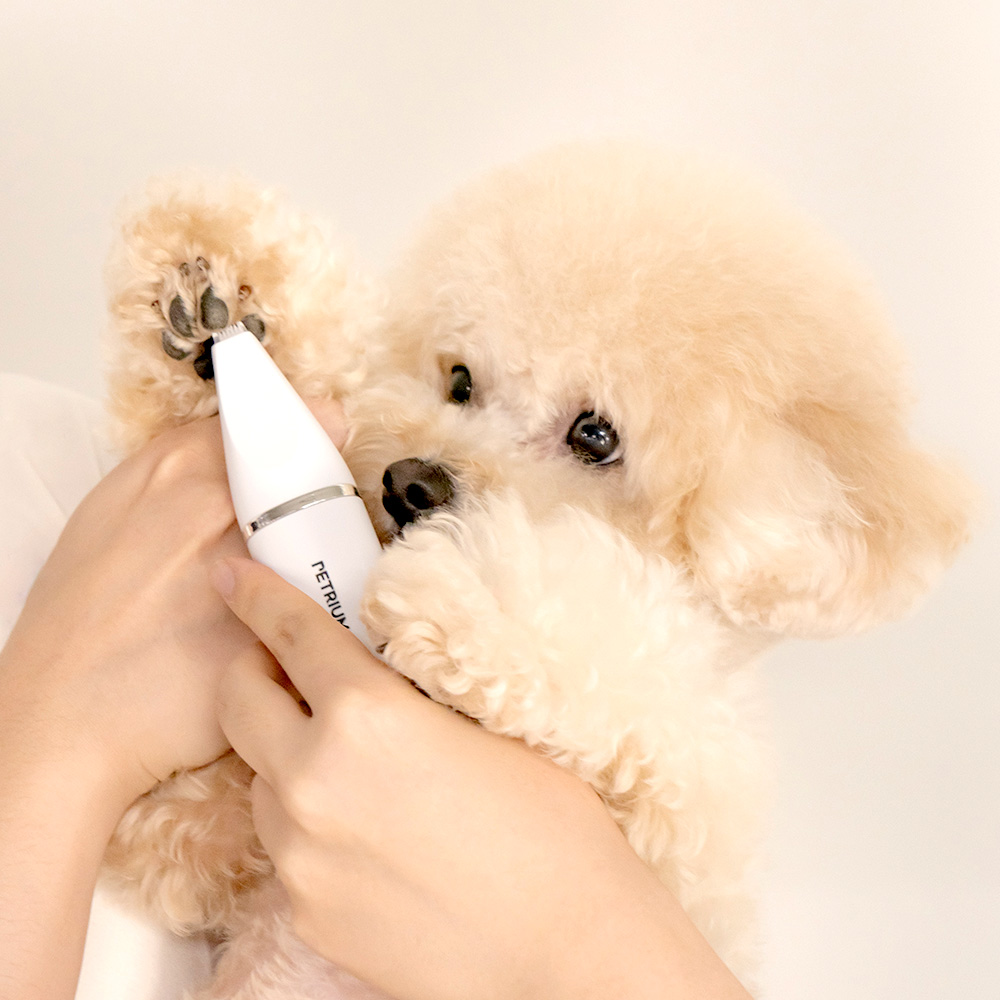 반려견을 위한 간편 이발기, 집에서도 쉽게 손질하세요!