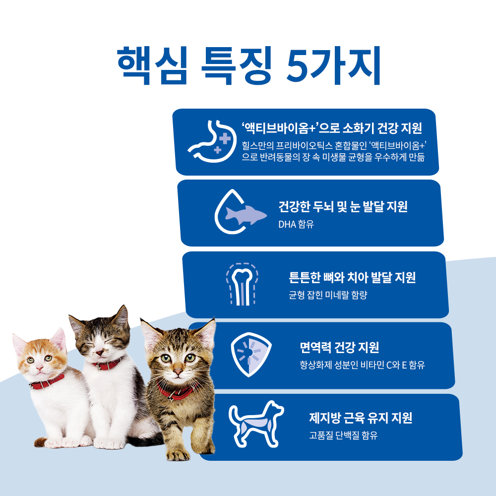 고양이 키튼 사료, 이렇게 선택하면 좋아요! 친근하게 알려드릴게요