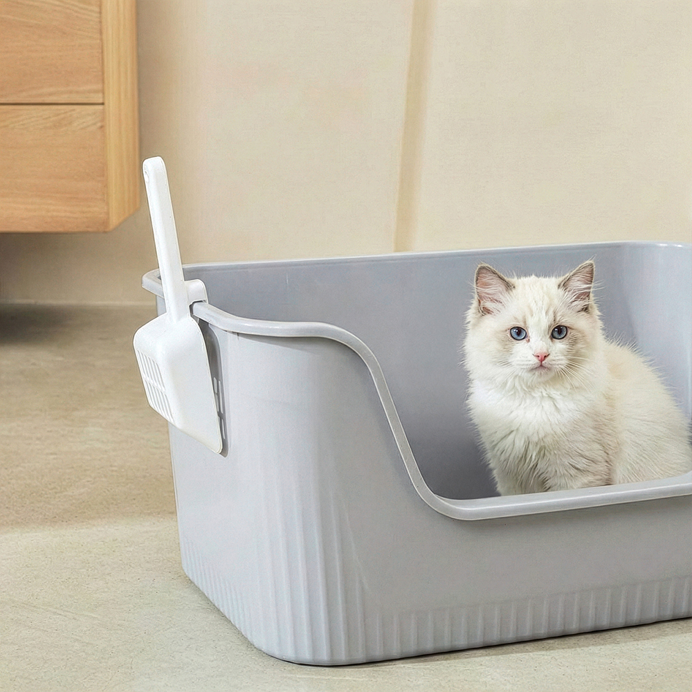 편리하고 넉넉한 크기의 고양이 화장실, 집에 딱 맞는 선택!