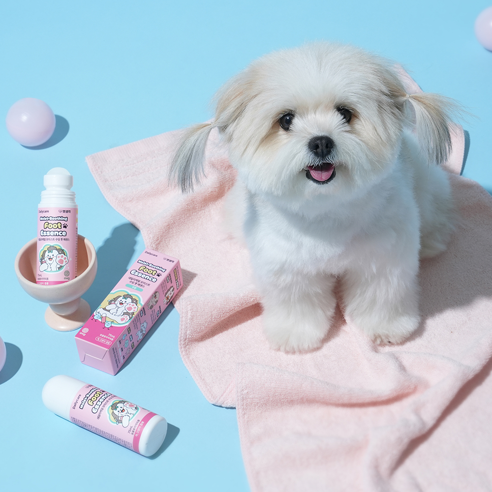 강아지 발바닥 건강을 위한 수딩 풋 에센스, 이렇게 사용해보세요!