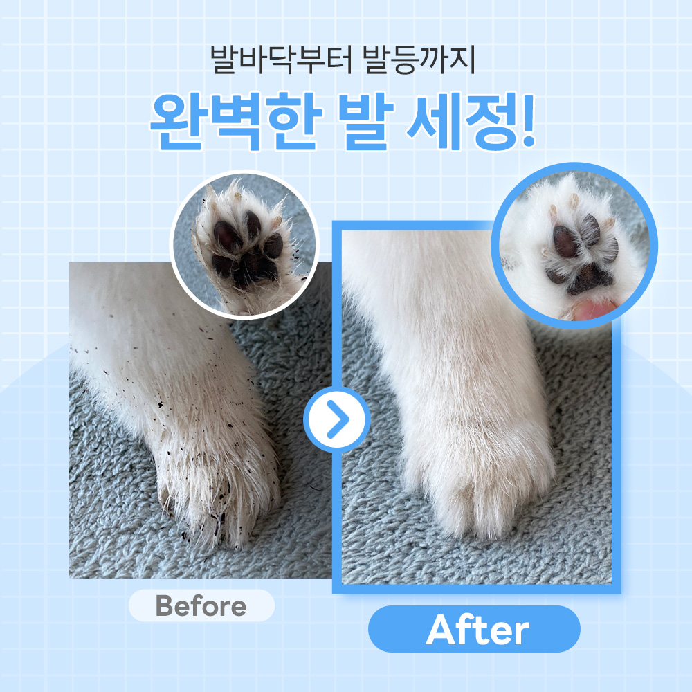 강아지 발바닥 세정이 이렇게 쉬울 줄 몰랐어요! 수분 가득 케어 제품 추천
