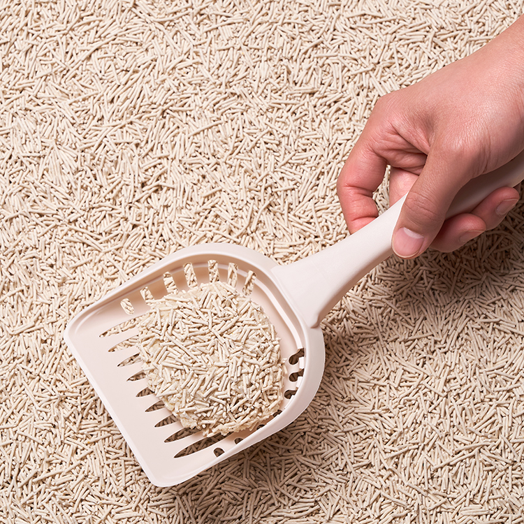 편리하고 깔끔한 두부모래, 집에서도 쉽게 관리하는 방법