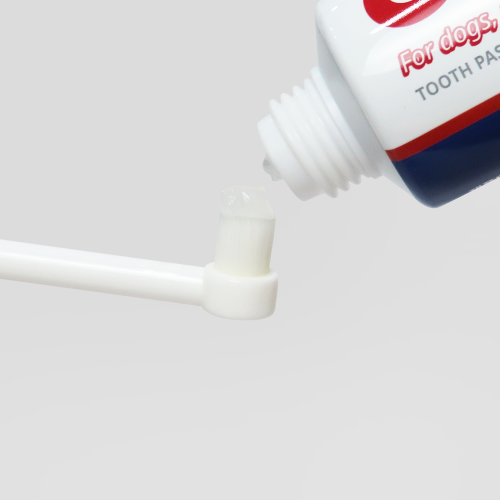 반려동물 치아 건강, 이렇게 챙기면 좋아요! 쉽고 간편한 칫솔 추천