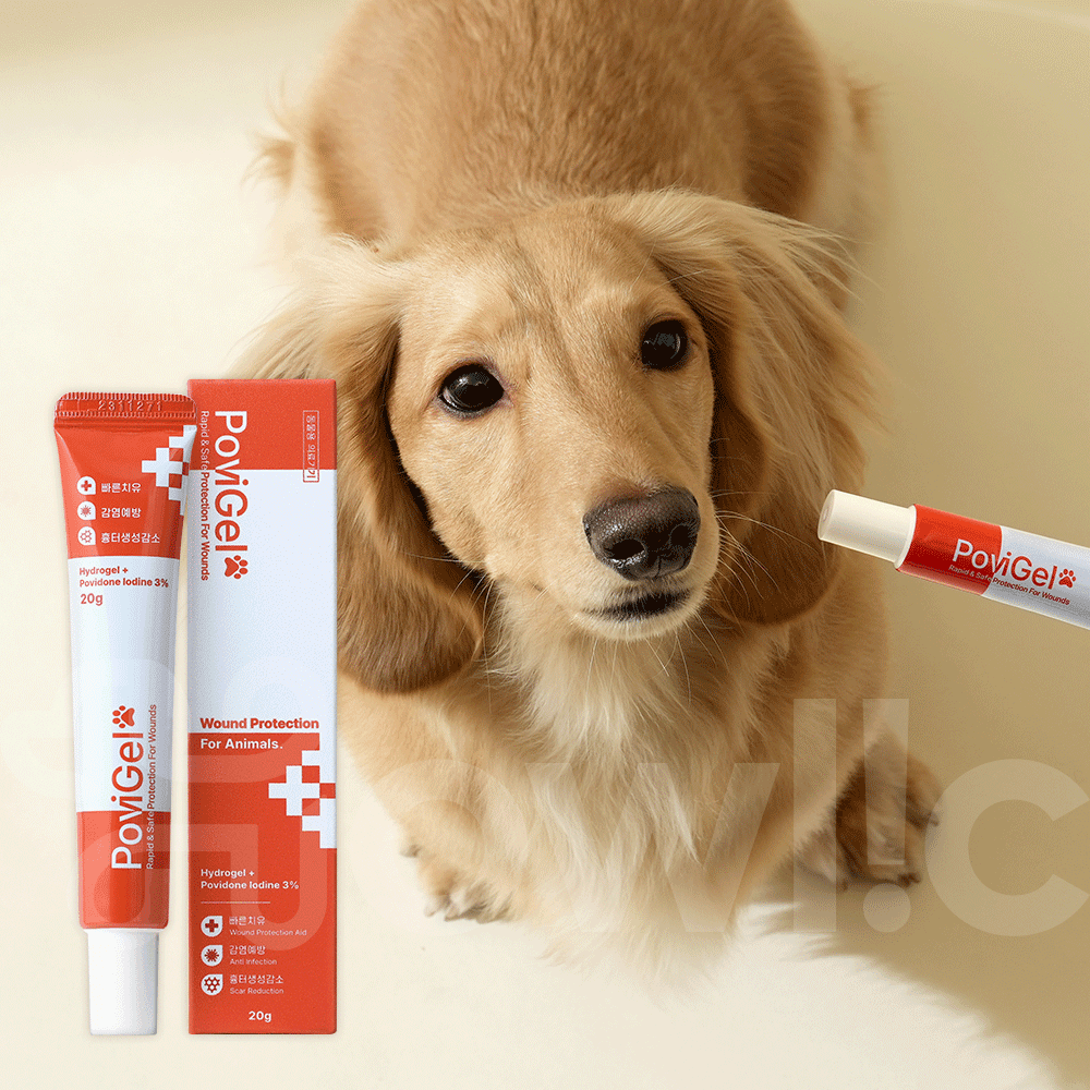 반려동물 피부 건강을 위한 포비겔 연고, 쉽게 이해하고 선택하세요!