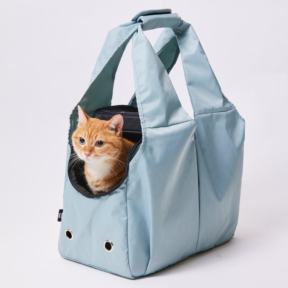 강아지와 고양이 이동이 편한 캐리어, 집에서도 여행갈 때도 딱 좋아요!