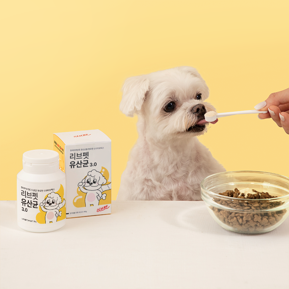 고양이 건강을 위한 유산균, 리브펫 프로바이오틱스 스틱포 추천!