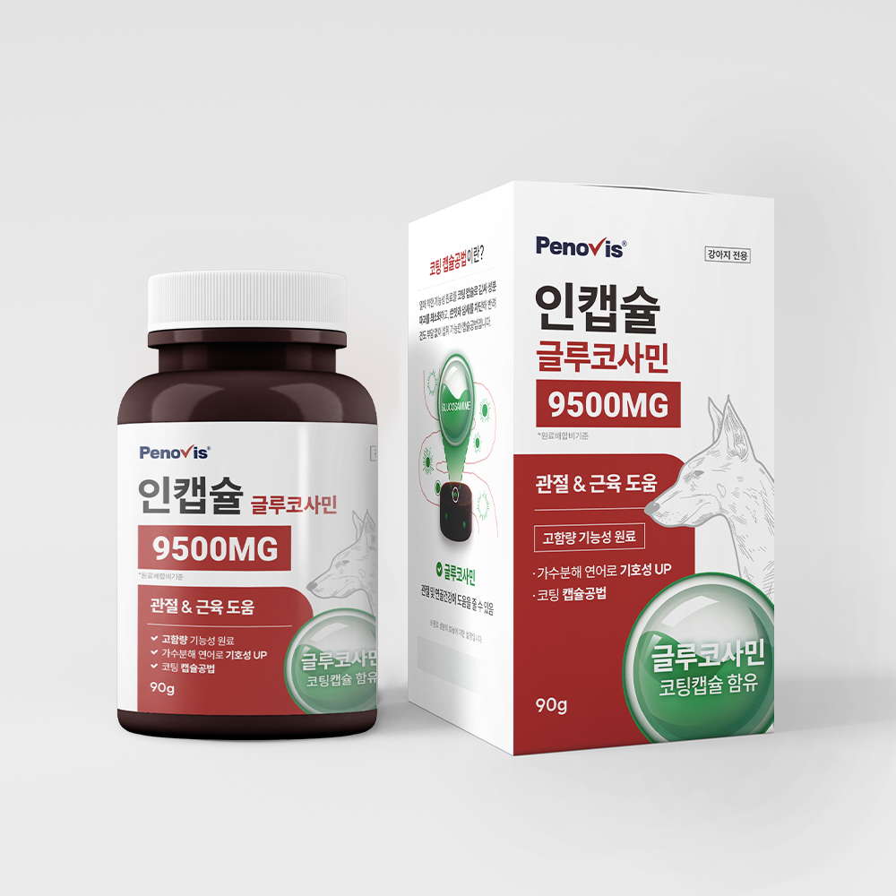 강아지 관절 건강을 위한 영양제, 이렇게 선택하세요!