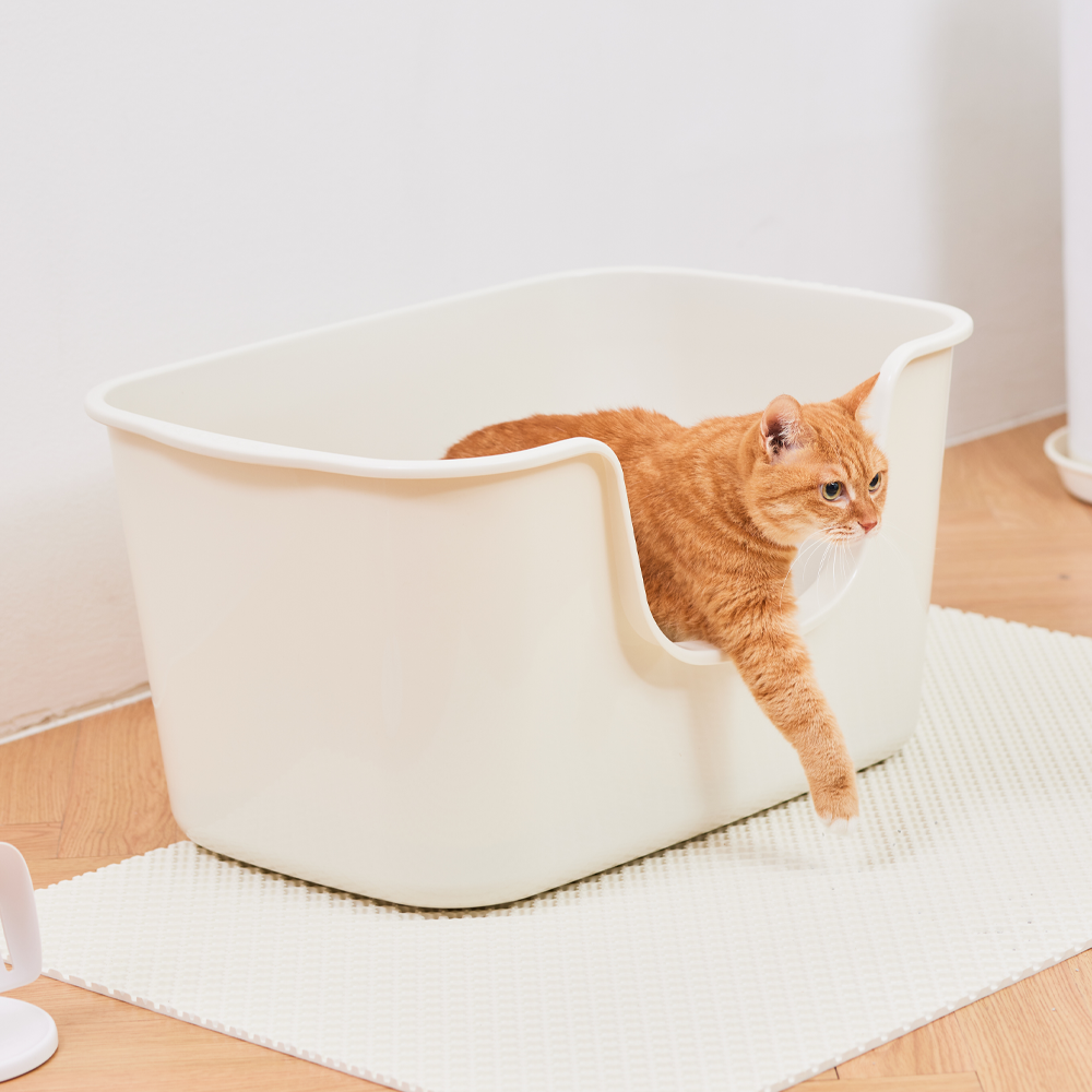 가볍고 넉넉한 크기의 감자밭 고양이 화장실 추천해요!