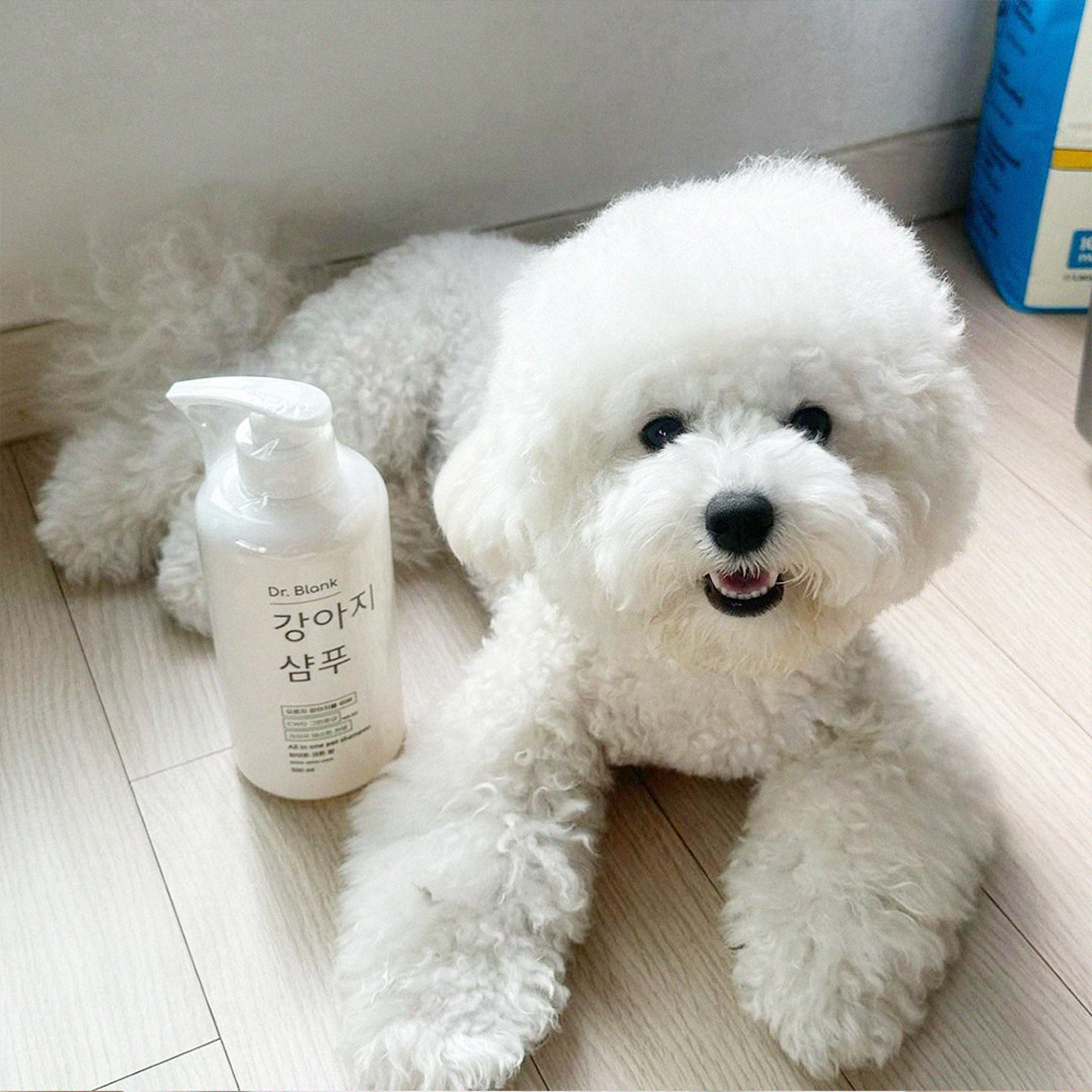 강아지 피부에 부드럽게! 저자극 올인원 강아지 샴푸 추천