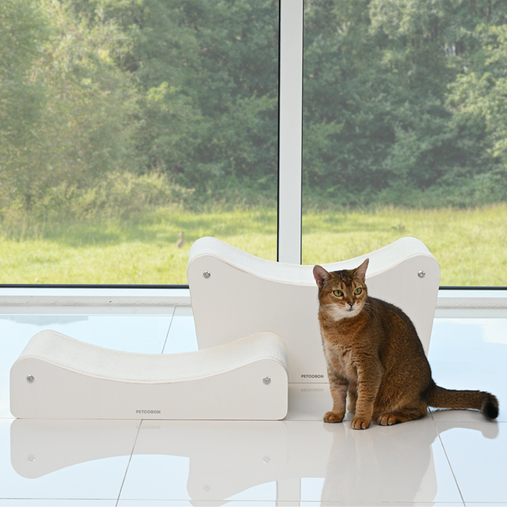 펫코본 고양이 스크래쳐 숨숨집 원목 카페트 교체형 소파