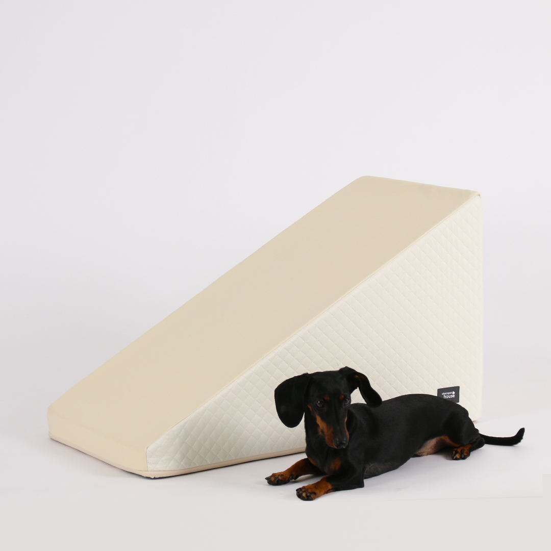 초코펫하우스 강아지계단 논슬립스텝3.0 일반형