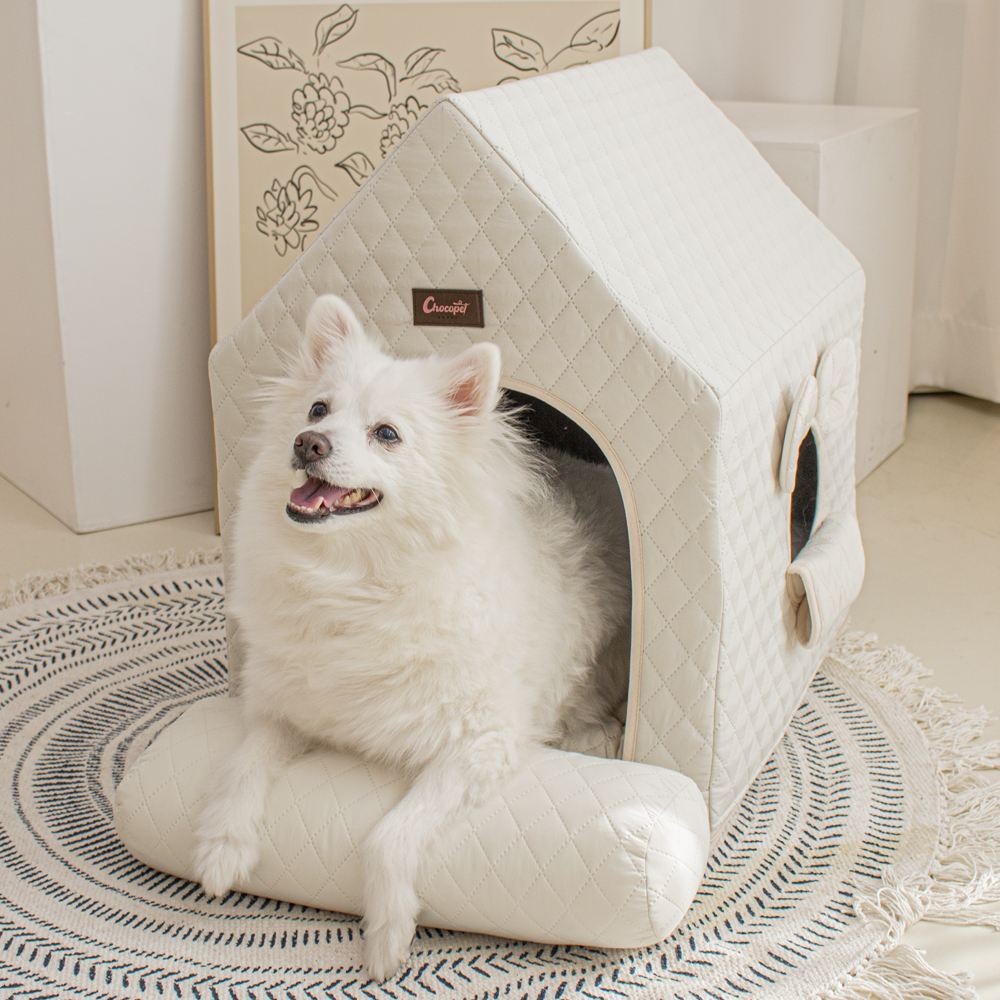초코펫하우스 사계절 강아지집 에브리데이하우스 3.0 아이보리, 소형