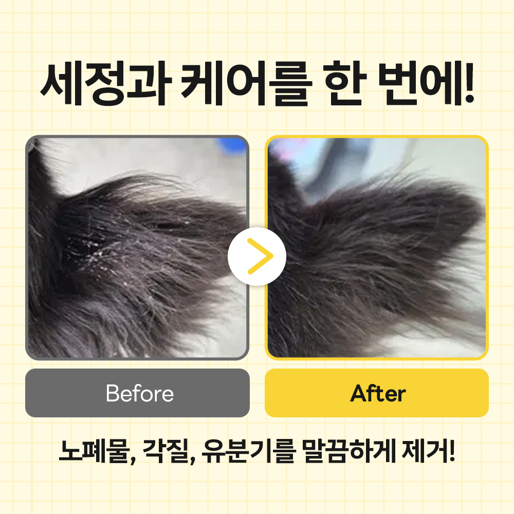 바이랩 스킨 밸런스 버블 강아지 샴푸 바로거품 저자극 펫 목욕 샴푸 320ml, 1개