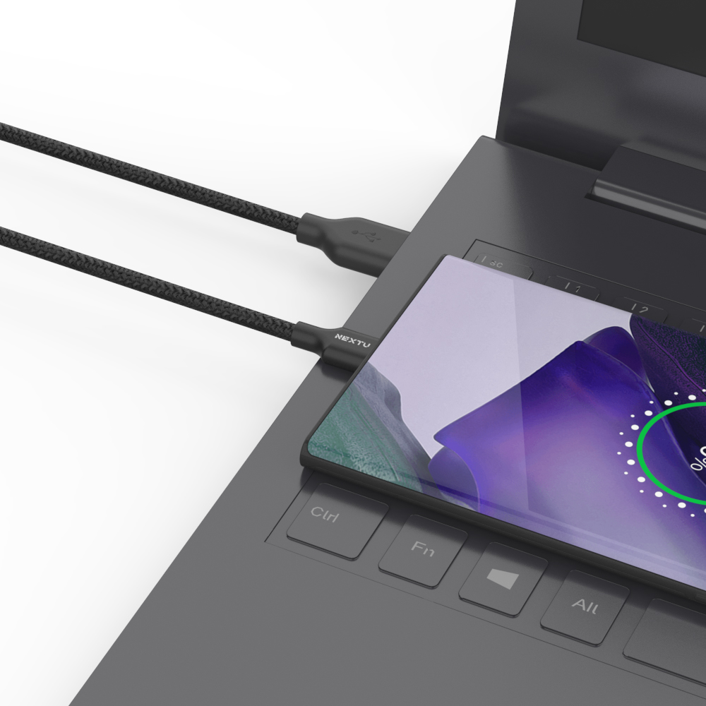 넥스트유 케루디 A To C 타입 18W 고속 충전 케이블 0.3m, 1개