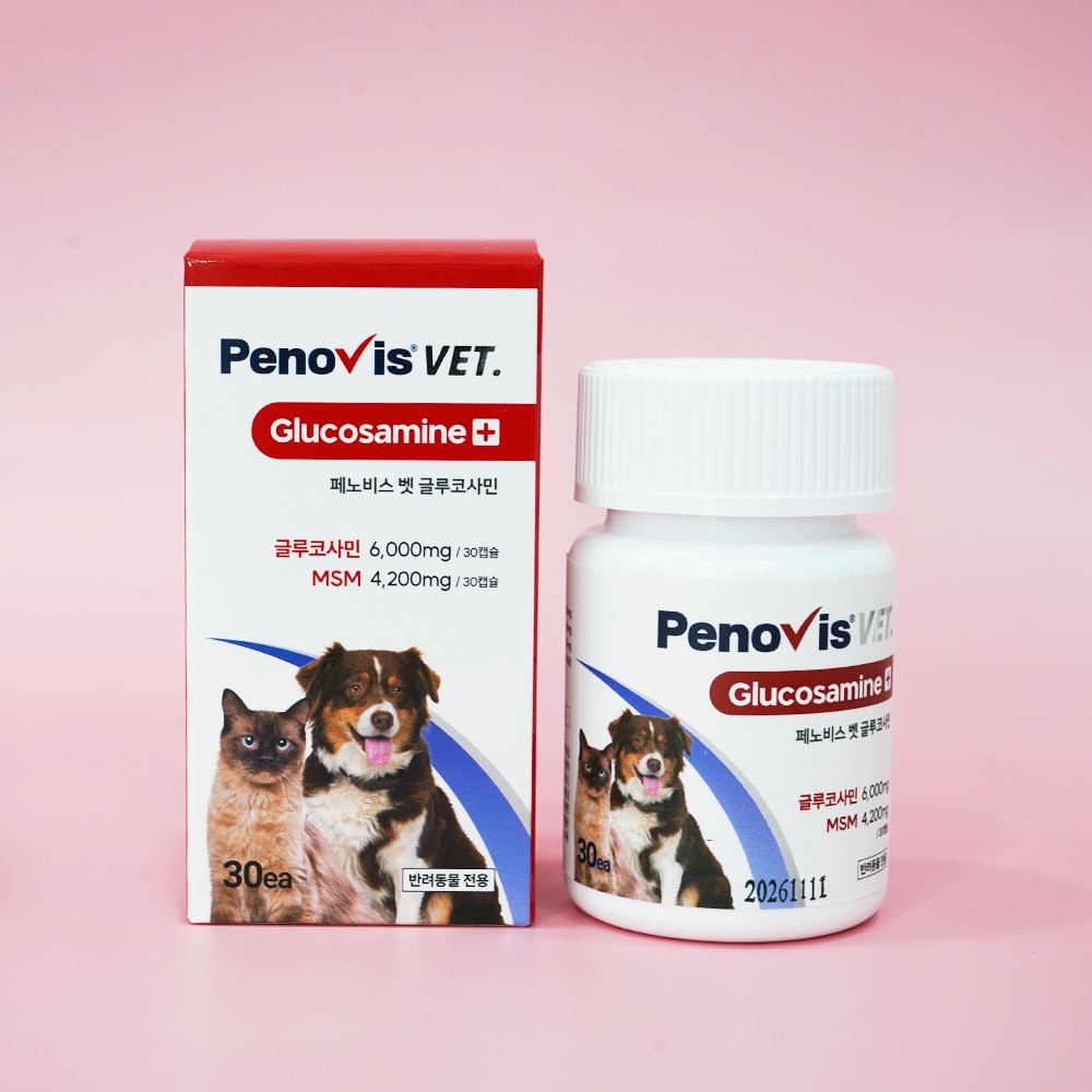 페노비스 강아지 관절영양제 슬개골 연골 관절염 고양이 칼슘 노견영양제 캡슐 벳 글루코사민