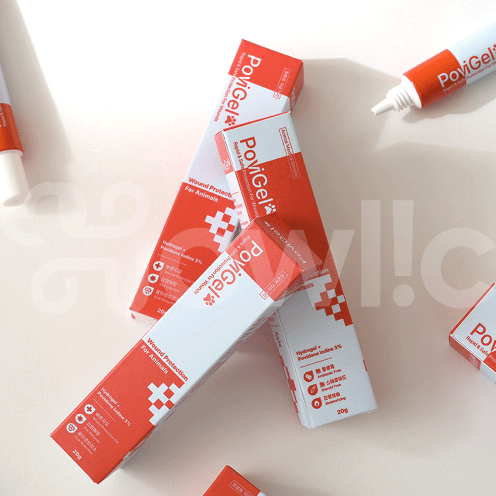 포비겔 강아지 고양이 곰팡이성 피부염 피부병 약 아토피 상처 연고 농피증 링웜 발습진 약