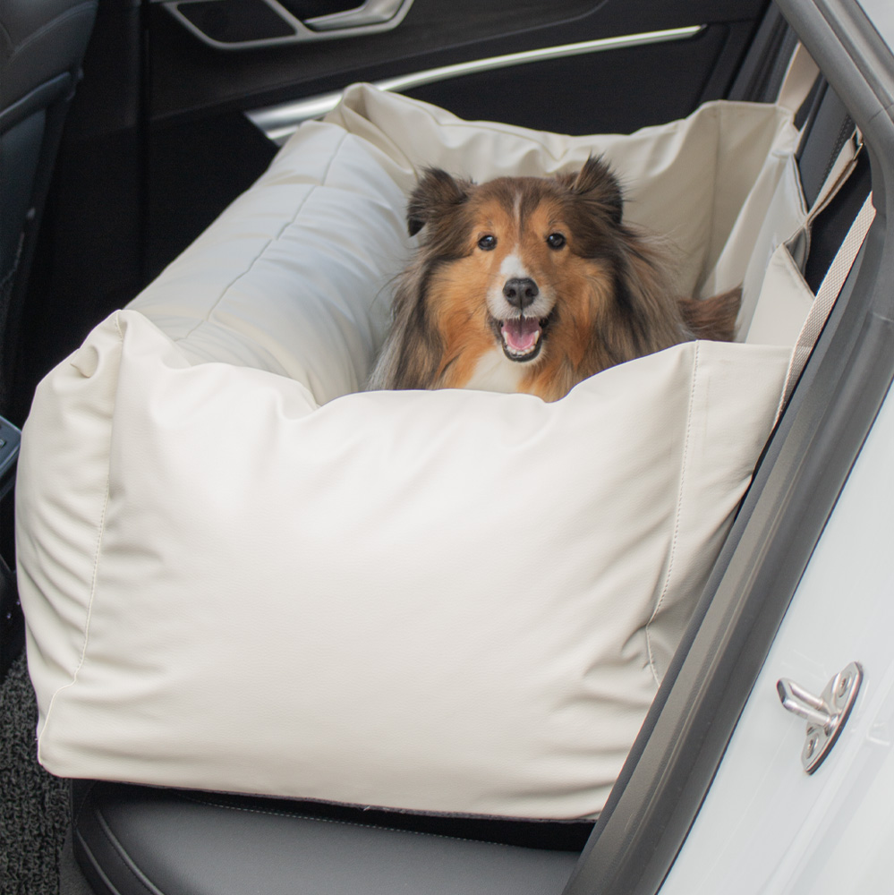 우리 강아지에게 딱 맞는 차량용 카시트 추천! 쉽고 편하게 선택하는 방법