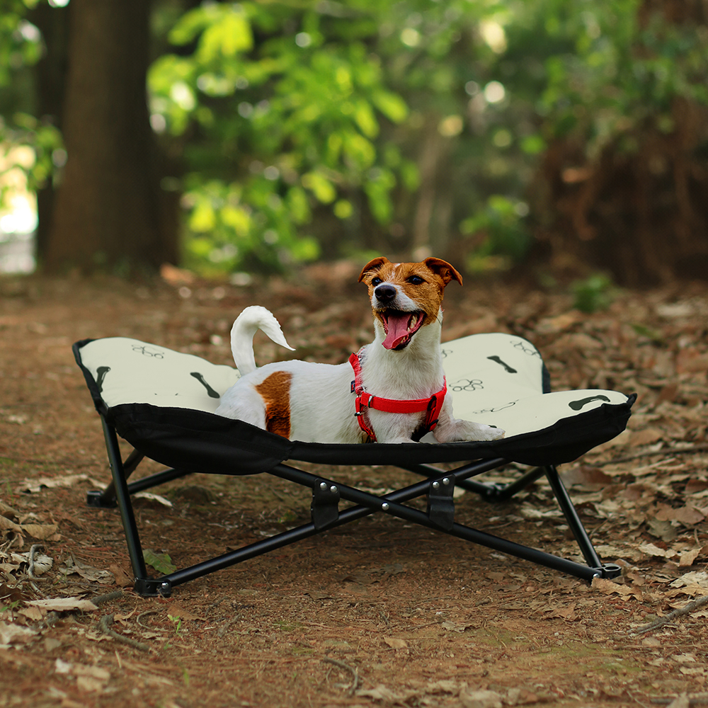 우리 강아지와 함께하는 편안한 캠핑, 해먹형 강아지 침대 추천!