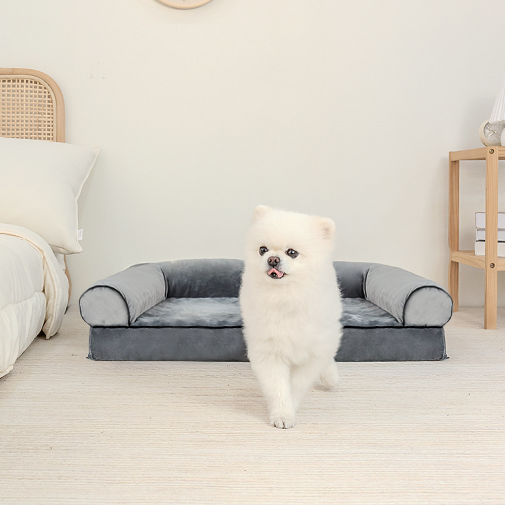 우리 강아지와 고양이도 좋아하는 편안한 방석과 소파 겸 침대 추천
