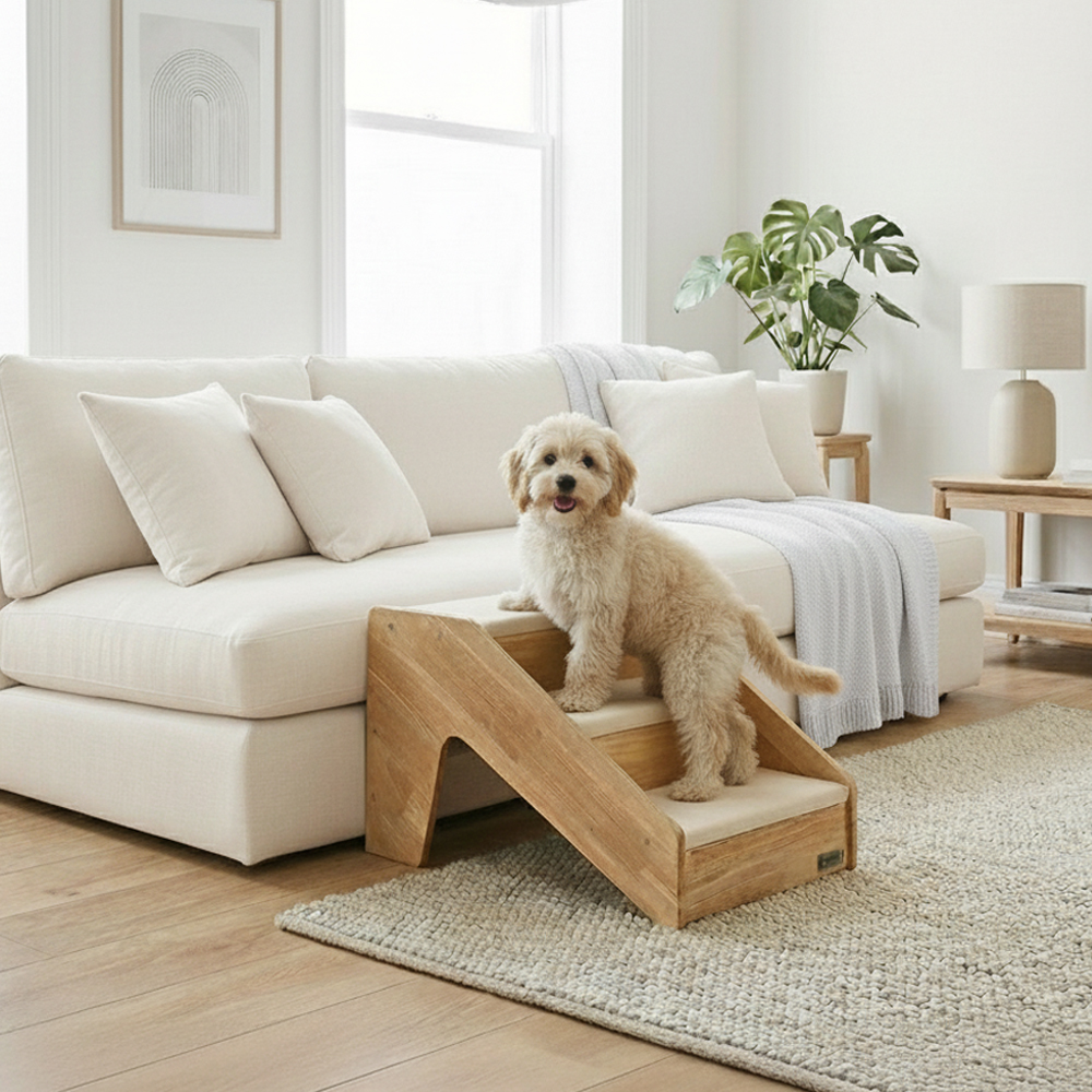 편안하게 오를 수 있는 강아지 계단, 집에서도 쉽게 사용하는 방법