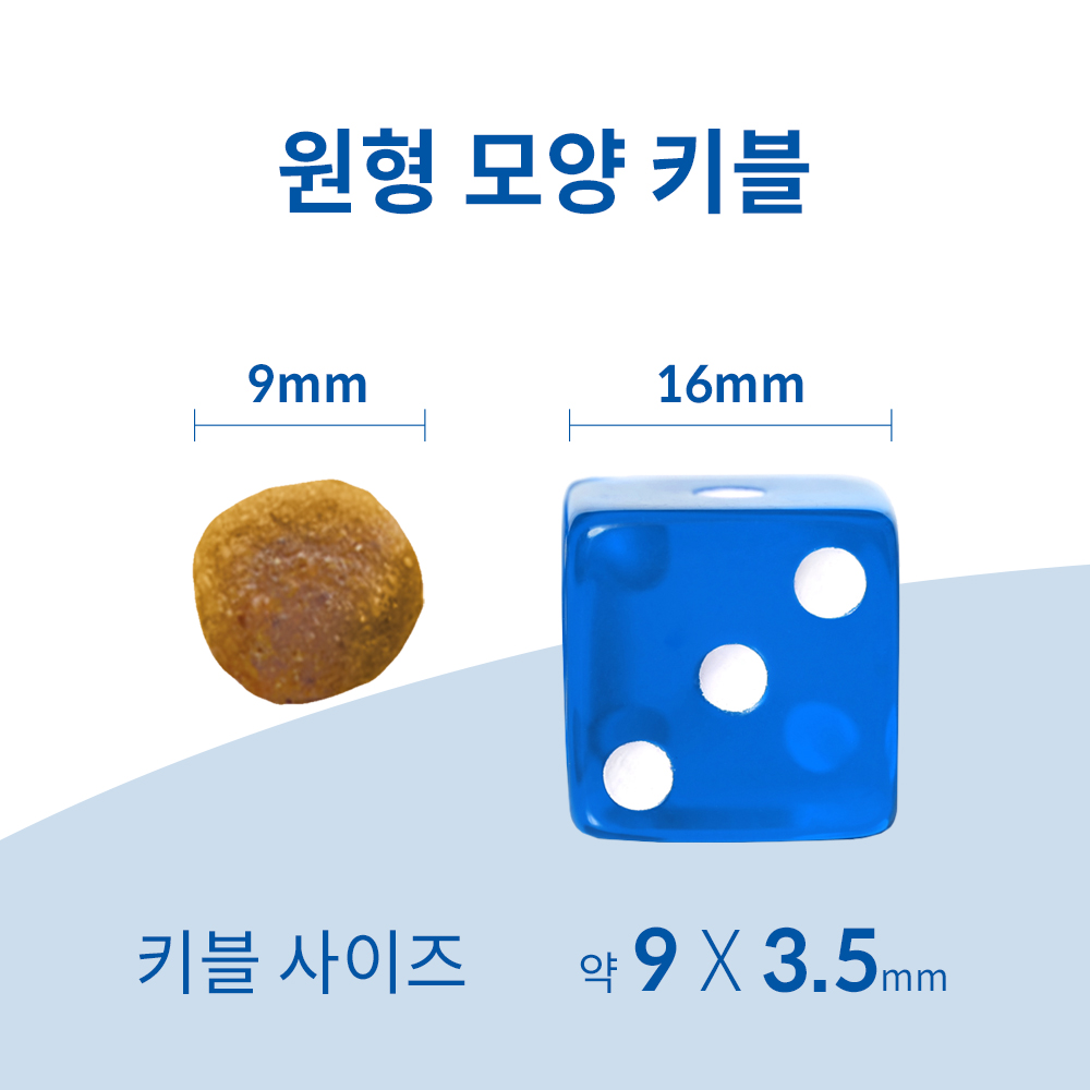 고양이에게 딱 맞는 연어와 현미 사료, 이렇게 선택하세요!