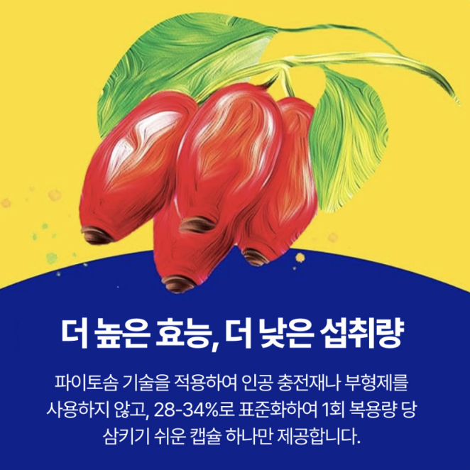 엔자이메디카 흡수율 9.6배 향상 파이토좀 베르베린 파이토솜 60캡슐 60정, 1개