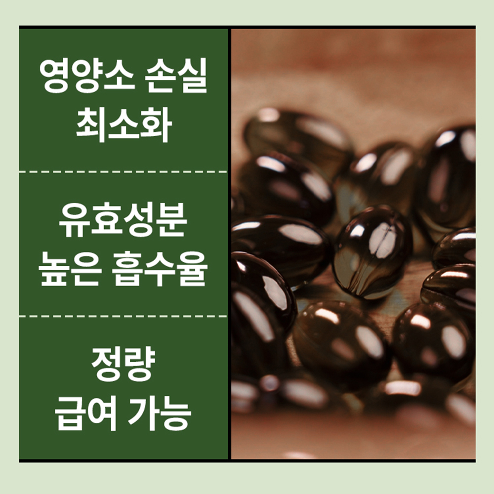 우리 강아지 건강을 위한 구강 영양제, 이렇게 선택하세요!